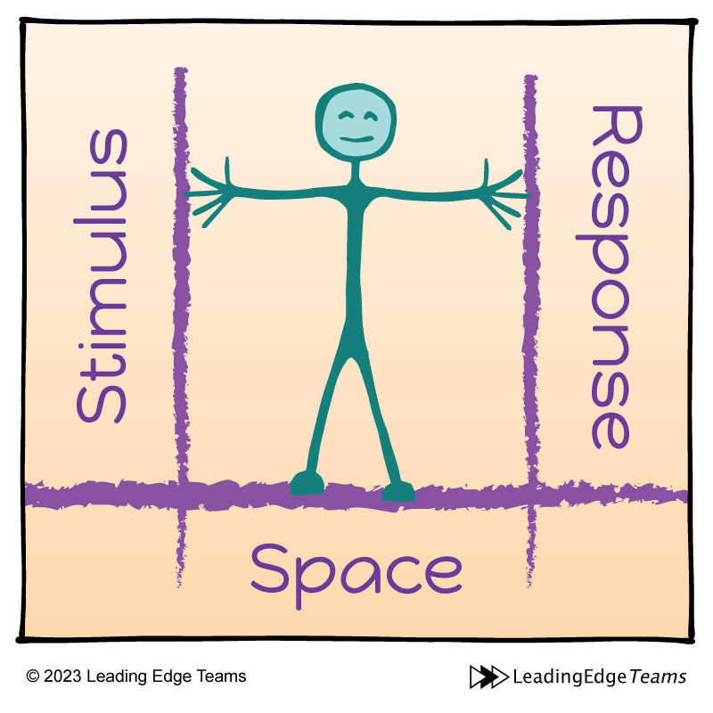 The space between stimulus and our response - Self-leadership - Interrupt Your Emotional Reactions: Pause…Leading Edge Teams